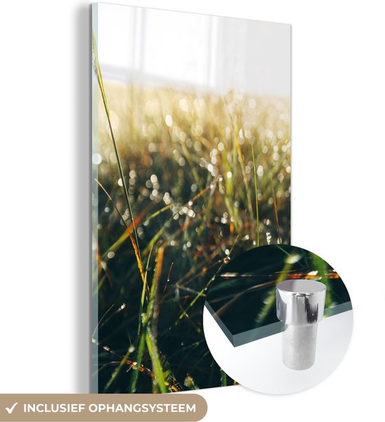 MuchoWow® Glasschilderij - Grasveld - Pampasgras - Gras - Acrylglas Schilderijen - Foto op Glas