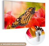 MuchoWow® Glasschilderij 40x20 cm - Schilderij acrylglas - Bloemen - Vlinders - Monarch - Foto op glas - Schilderijen