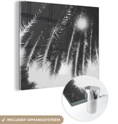 MuchoWow® Glasschilderij 20x20 cm - Schilderij acrylglas - Palmbladeren - Tropisch - Zon - Palmboom - Foto op glas - Schilderijen