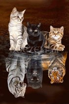 Diamond Painting Huistijgers met spiegelbeeld 30x45cm. (Volledige bedekking - Vierkante steentjes) diamondpainting inclusief tools