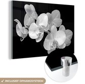 MuchoWow® Glasschilderij 120x80 cm - Schilderij acrylglas - Een close up van orchideeën op een zwarte achtergrond - zwart wit - Foto op glas - Schilderijen