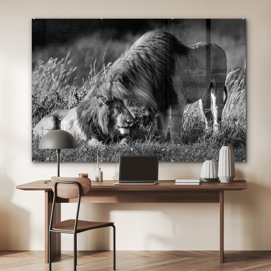 MuchoWow® Peinture sur Verre - Lions enlacés - noir et blanc - 180x120 cm - Peintures sur Verre Peintures - Photo sur Glas