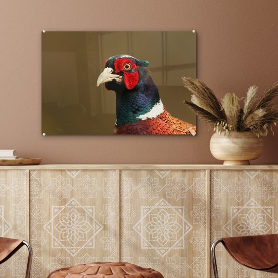 Un gros plan d'un faisan coloré en plexiglas 60x40 cm - Tirage photo sur Glas (décoration murale en plexiglas)