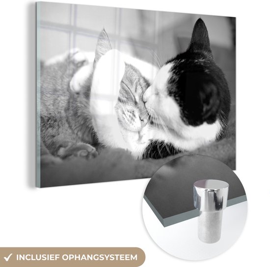MuchoWow® Glasschilderij 60x40 cm - Schilderij acrylglas - Knuffelende katten - zwart wit - Foto op glas - Schilderijen