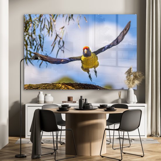 Une rosella vole dans les airs d'une manière fascinante Plexiglas 180x120 cm - Tirage photo sur Glas (Décoration murale plexiglas) XXL / Groot format!