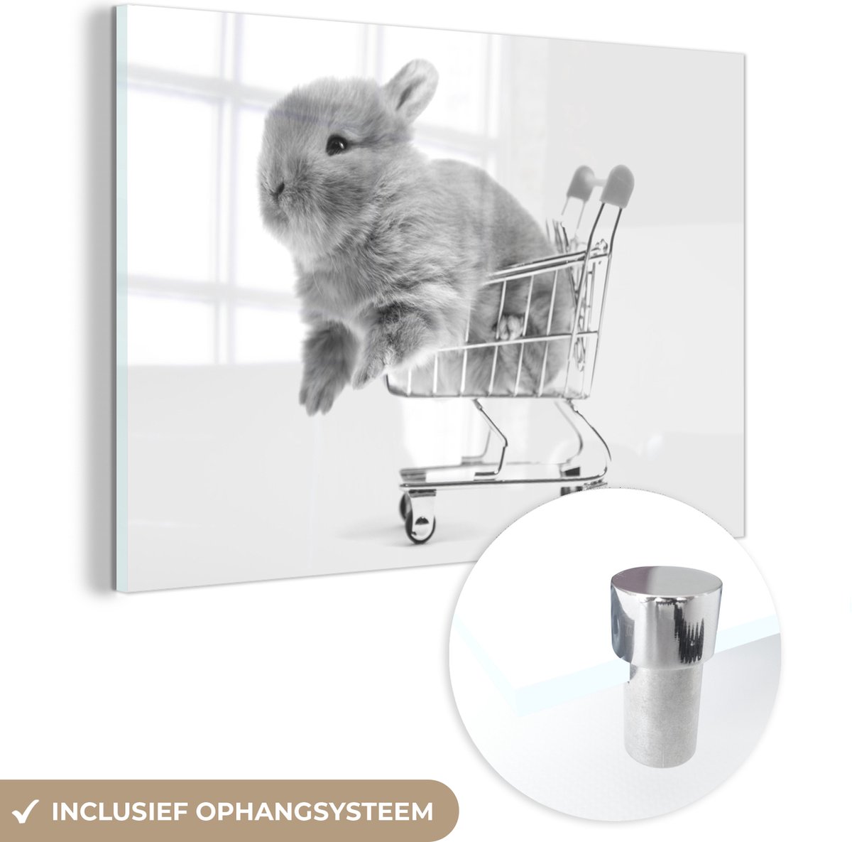 ® Glasschilderij 30x20 cm - Schilderij acrylglas - Konijn - Baby - Wit - Foto op glas - Muurdecoratie woonkamer - Wanddecoratie slaapkamer - Schilderijen