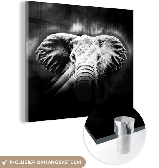 MuchoWow® Glasschilderij 20x20 cm - Schilderij acrylglas - Olifant - Lijn - Licht - Zwart - Wit - Foto op glas - Schilderijen