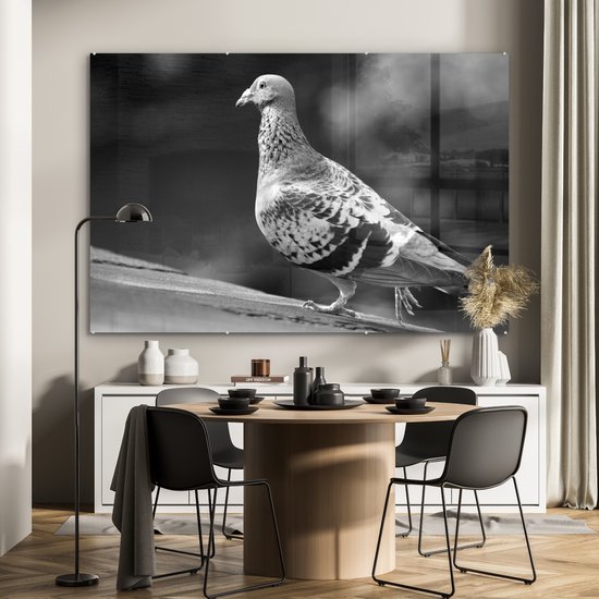 MuchoWow® Peinture sur Verre - Pigeon sur un toit - noir et blanc - 180x120 cm - Peintures sur Verre Acrylique - Photo sur Glas
