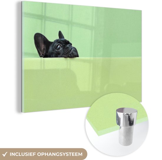 MuchoWow® Glasschilderij 180x120 cm - Schilderij acrylglas - Franse Bulldog - Groen - Zwart - Foto op glas - Schilderijen