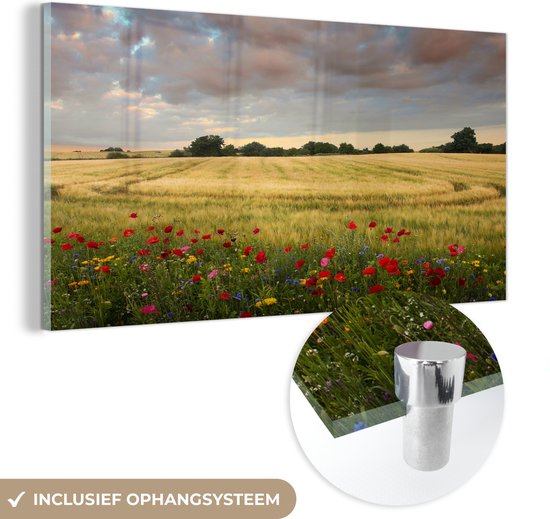 MuchoWow® Glasschilderij 160x80 cm - Schilderij acrylglas - Bloemen aan het tarweveld - Foto op glas - Schilderijen