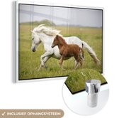MuchoWow® Glasschilderij 150x100 cm - Schilderij acrylglas - Paarden - Dieren - Gras - Foto op glas - Schilderijen