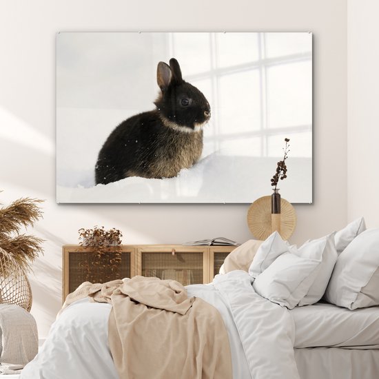 MuchoWow® Peinture sur verre 150x100 cm - Peinture sur verre acrylique - Lapin - Neige - Hiver - Photo sur verre - Peintures