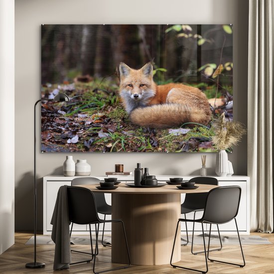 MuchoWow® Peinture sur verre - Renard - Forêt - Animal - 150x100 cm - Peintures sur verre acrylique - Photo sur Glas