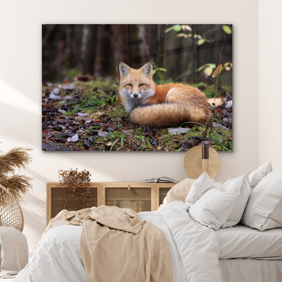 MuchoWow® Peinture sur verre - Renard - Forêt - Animal - 150x100 cm - Peintures sur verre acrylique - Photo sur Glas