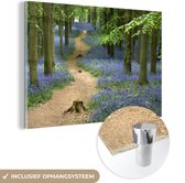 MuchoWow® Glasschilderij 150x100 cm - Schilderij acrylglas - Bos - Pad - Bloemen - Blauw - Foto op glas - Schilderijen