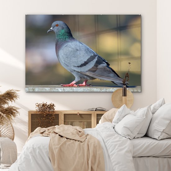 MuchoWow® Peinture sur verre 150x100 cm - Peinture sur verre acrylique - Duif - Vogel - Clôture - Photo sur verre - Peintures