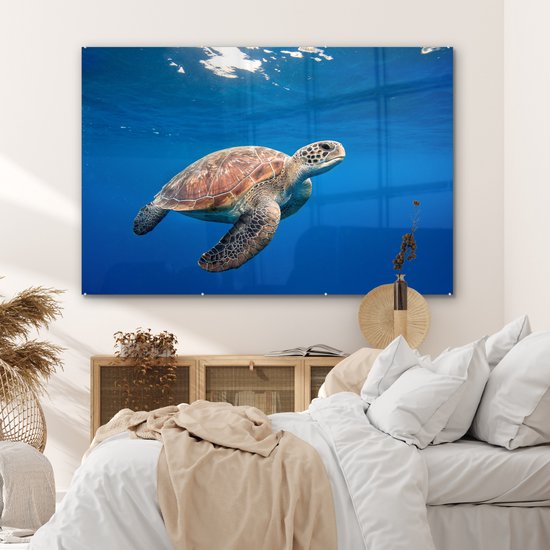 Peintures sur verre - Tortue dans l'océan - 150x100 cm - Peintures Plexiglas