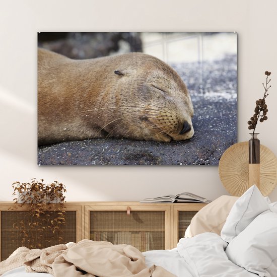 Peinture sur Verre - Gros plan - Animaux - Pierres - 120x80 cm - Peintures sur Verre Peintures - Photo sur Glas