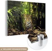 MuchoWow® Glasschilderij 120x80 cm - Schilderij acrylglas - Jonge jaguar in de jungle - Foto op glas - Schilderijen