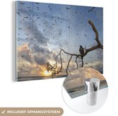 Peinture sur Verre - Vogel sur Branche - 60x40 cm - Peintures sur Verre Peintures - Photo sur Glas