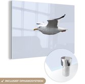 Seagull Glas 60x40 cm - Tirage photo sur Glas (décoration murale en plexiglas)