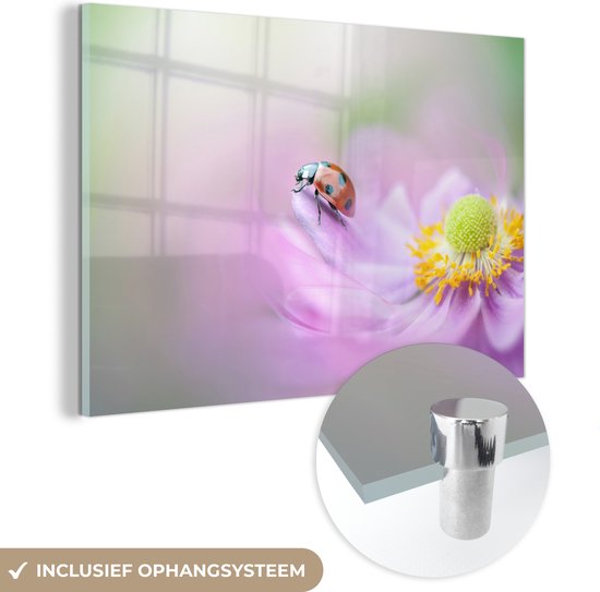 MuchoWow® Glasschilderij 30x20 cm - Schilderij acrylglas - Lieveheersbeestje op een roze anemoon - Foto op glas - Schilderijen