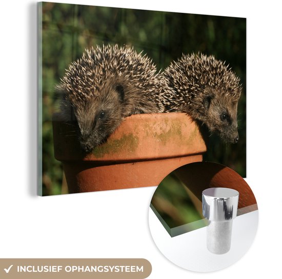 MuchoWow® Peinture sur verre 30x20 cm - Peinture sur verre acrylique - Deux hérissons sur un pot - Photo sur verre - Peintures