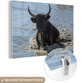 MuchoWow® Glasschilderij 30x20 cm - Schilderij acrylglas - Een stier klimt het water uit in Camargue - Foto op glas - Schilderijen