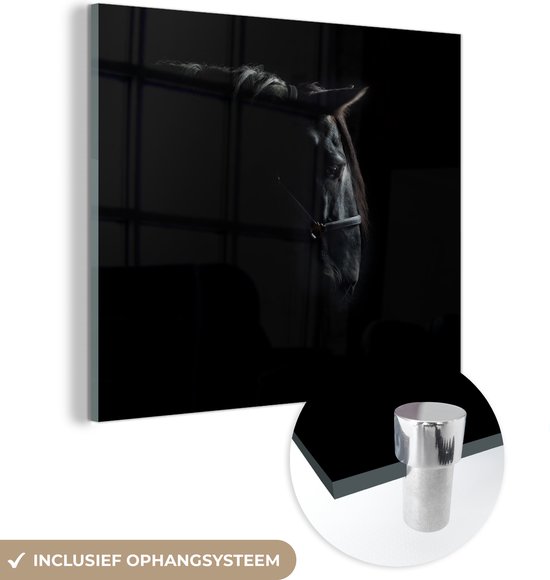 Glasschilderij - Paard - Licht - Zwart - Plexiglas Schilderijen