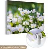 MuchoWow® Glasschilderij 30x20 cm - Schilderij glas - Kleine witte anemonen - Foto op acrylglas - Schilderijen