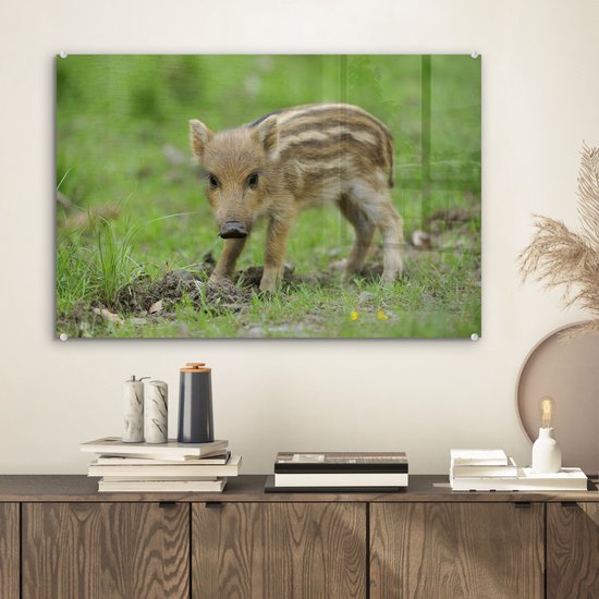 MuchoWow® Peinture sur verre - Sanglier dans l'herbe - 60x40 cm - Peintures sur verre acrylique - Photo sur Glas