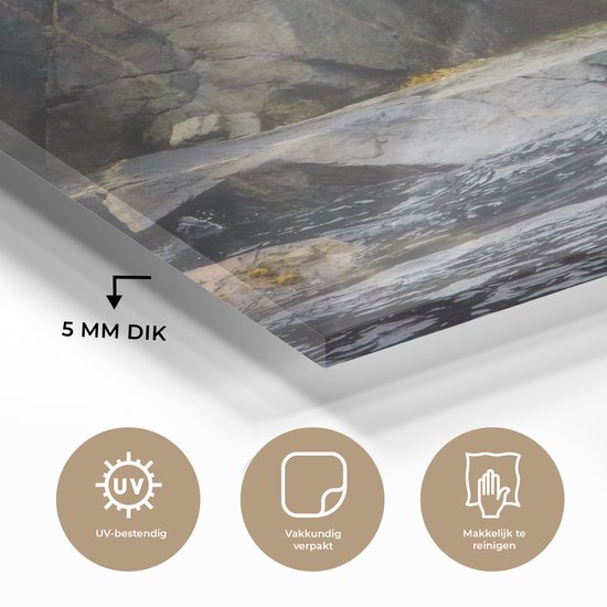 MuchoWow® Peinture sur verre 80x60 cm - Peinture sur verre acrylique - Pygargue à queue blanche près des rochers du Cap Breton - Photo sur verre - Peintures