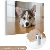 MuchoWow® Glasschilderij 30x20 cm - Schilderij acrylglas - Corgi puppy op de vloer - Foto op glas - Schilderijen