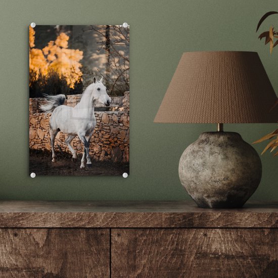 ® Glasschilderij 20x30 cm - Schilderij acrylglas - Paard - Wit - Boom - Zon - Foto op glas - Muurdecoratie woonkamer - Wanddecoratie slaapkamer - Schilderijen
