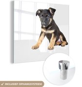 MuchoWow® Glasschilderij 90x90 cm - Schilderij acrylglas - Zittende Duitse herder pup - Foto op glas - Schilderijen