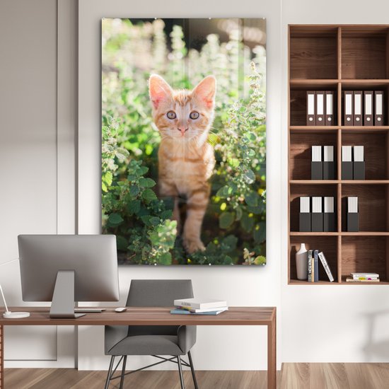 MuchoWow® Peinture sur verre 100x150 cm - Peinture sur verre acrylique - Un portrait d'un chaton dans les buissons - Photo sur verre - Peintures