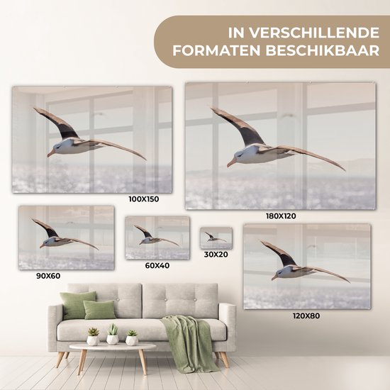 MuchoWow® Peinture sur verre 150x100 cm - Peinture sur verre acrylique - Albatros - Zwart - Vogel - Photo sur verre - Peintures