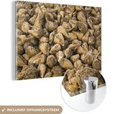 MuchoWow® Glasschilderij 30x20 cm - Schilderij acrylglas - De suikerbieten liggen op een hoop - Foto op glas - Schilderijen