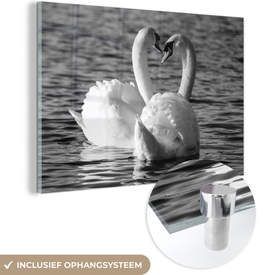 ® Glasschilderij 60x40 cm - Schilderij acrylglas - Twee zwanen in het water - Foto op glas - Muurdecoratie woonkamer - Wanddecoratie slaapkamer - Schilderijen