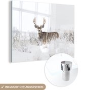MuchoWow® Peinture sur verre 40x30 cm - Peinture sur verre acrylique - Cerf - Hiver - Neige - Animaux - Saisons - Wit - Photo sur verre - Peintures