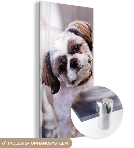 MuchoWow® Glasschilderij 40x80 cm - Schilderij acrylglas - Een schattige Shih Tzu hond - Foto op glas - Schilderijen