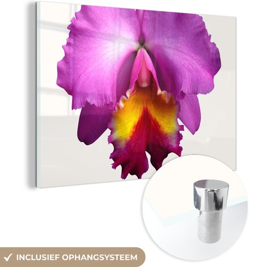MuchoWow® Glasschilderij - Close-up Orchidee - Acrylglas Schilderijen - Foto op Glas