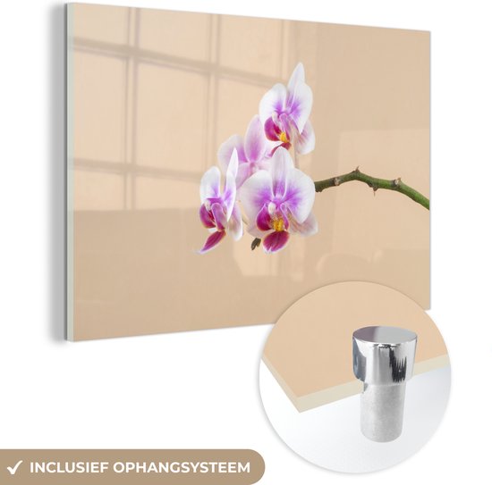 MuchoWow® Glasschilderij 120x80 cm - Schilderij acrylglas - Witte en roze orchidee - Foto op glas - Schilderijen