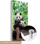 MuchoWow® Glasschilderij 80x160 cm - Schilderij acrylglas - Panda - Brug - Natuur - Foto op glas - Schilderijen
