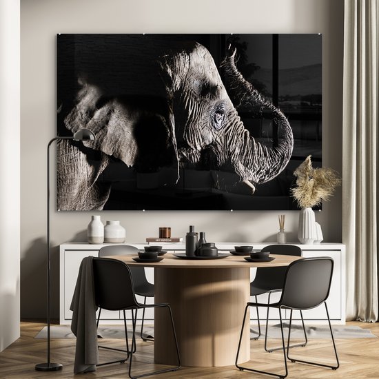 MuchoWow® Peinture sur verre 150x100 cm - Peinture sur verre acrylique - Éléphant - Zwart - Animaux - Nature - Photo sur verre - Peintures