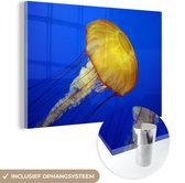 MuchoWow® Glasschilderij 60x40 cm - Schilderij acrylglas - Kwal - Zee - Geel - Foto op glas - Schilderijen