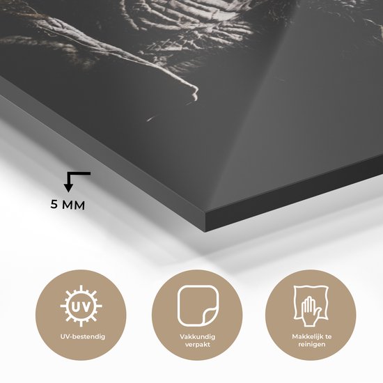 MuchoWow® Peinture sur verre 90x120 cm - Peinture sur verre acrylique - Éléphant - Zwart - Animaux - Nature - Photo sur verre - Peintures