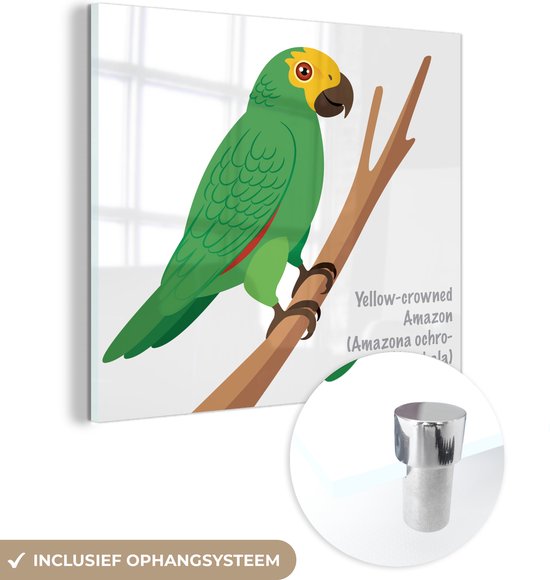 MuchoWow® Glasschilderij - Een illustratie van een groene papegaai - 90x90 cm - Acrylglas Schilderijen - Foto op Glas
