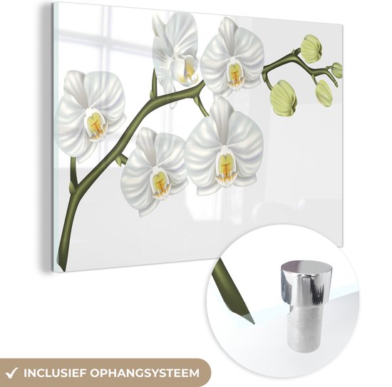 MuchoWow® Peinture sur Verre - Illustration d'une Orchidée Blanche - 30x20 cm - Peintures sur Verre Acrylique - Photo sur Glas