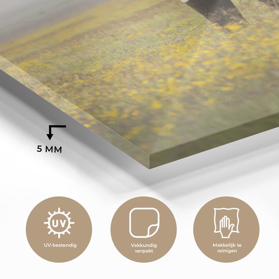 MuchoWow® Peinture sur verre 120x90 cm - Peinture sur verre acrylique - Éléphant - Fleurs - Herbe - Animaux - Nature - Photo sur verre - Peintures